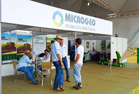 Basicos Melhorados 2